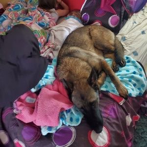 Meet your Posher, Josh